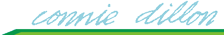 connie dillon - web designer