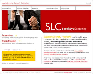 Sarah Lyu Consulting web site design